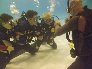 Seal Team in the pool