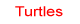 Information on Turtles