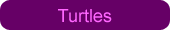 Aquaturtle has a close regard for turtles