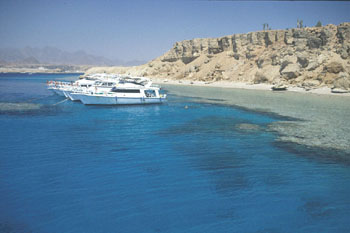 Dive Boats at Ras Katty