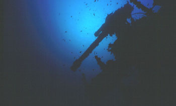 Anti Aircraft Gun on the Thistlegorm wreck