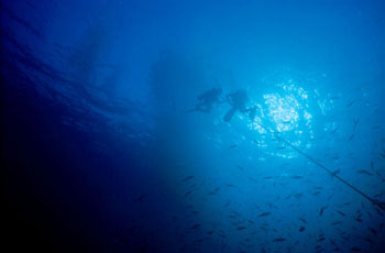Divers on the PADI Deep Diver Specialty course